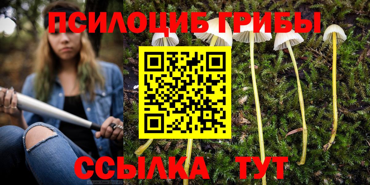 Галлюциногенные грибы прущие грибы Верхняя Салда