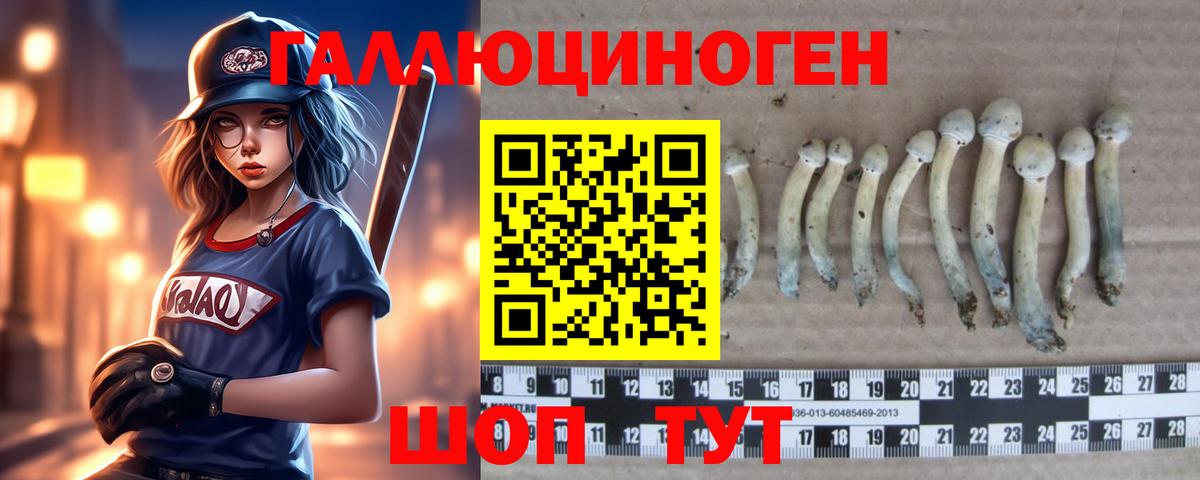 Верхняя Салда  Псилоцибиновые грибы мицелий  Вход с VPN  Псилоцибиновые грибы мицелий 